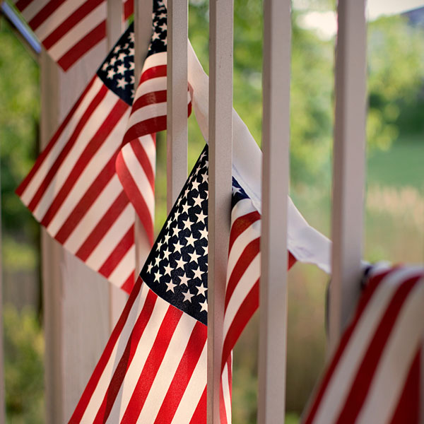 United States of America flags